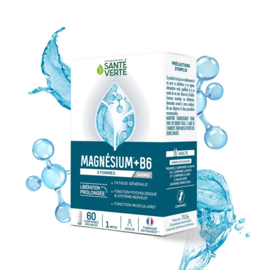 SANTE VERTE MAGNESIUM 360MG CPR60