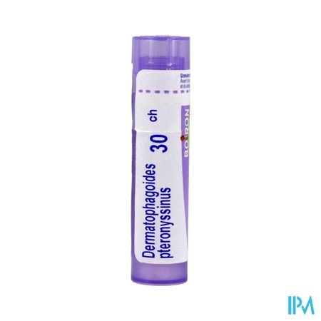 DERMATOPH. PTER. 30CH TG B