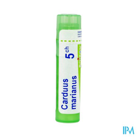 CARDUUS MARIANUS 5CH TG B