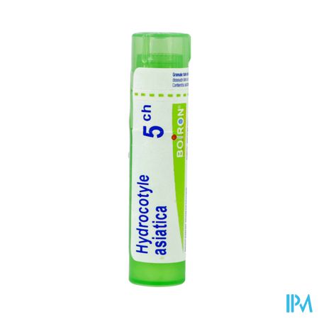 HYDROCOTYLE AS. 5CH TG B