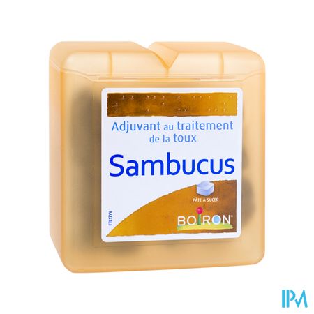 Boiron Sambucus Pate Pectorale A Sucer B 70g