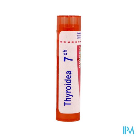 THYROIDEA 7CH TG B
