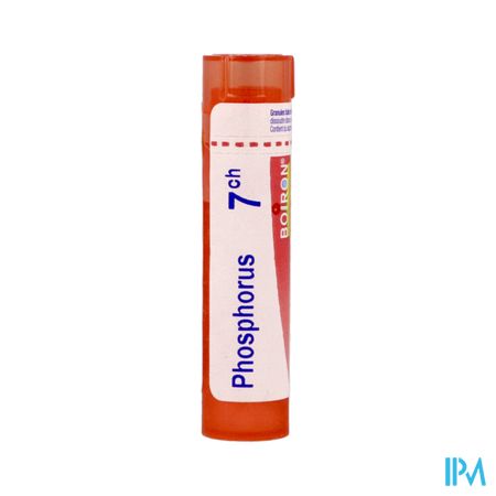 PHOSPHORUS 7CH TG B