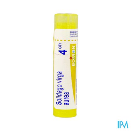 SOLIDAGO VIR.AUR 4CH TG B