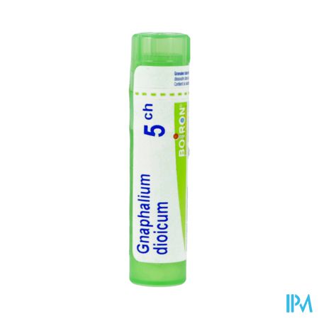 GNAPHALIUM DIOIC 5CH TG B