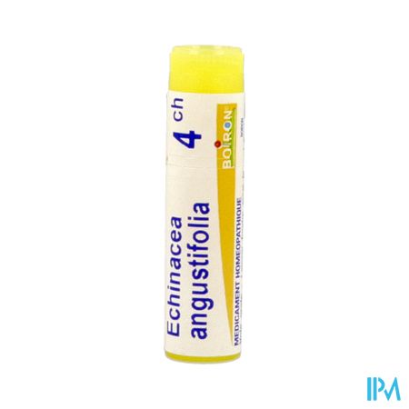 Boiron Echinacea Ang. 4ch Globules 1g