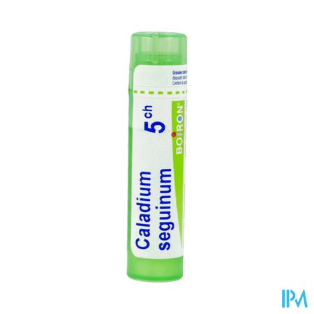 Boiron Caladium Seguin. 5ch Granules 4g