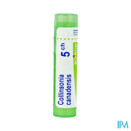 COLLINSONIA CAN. 5CH TG B