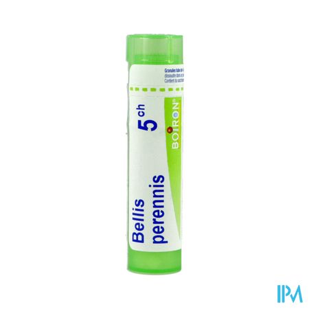 BELLIS PERENNIS 5CH TG B