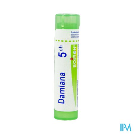 DAMIANA 5CH TG B