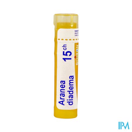 ARANEA DIADEMA 15CH TG B