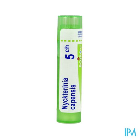 NYCKTERINIA CAP. 5CH TG B