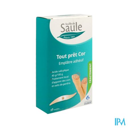 FEUILLE SAULE 40G/100G COR EMPL 9