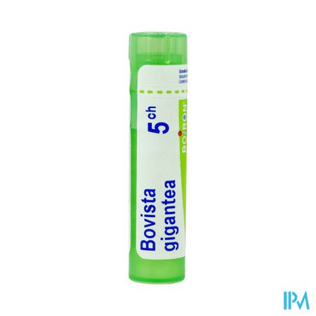 BOVISTA GIGANTEA 5CH TG B