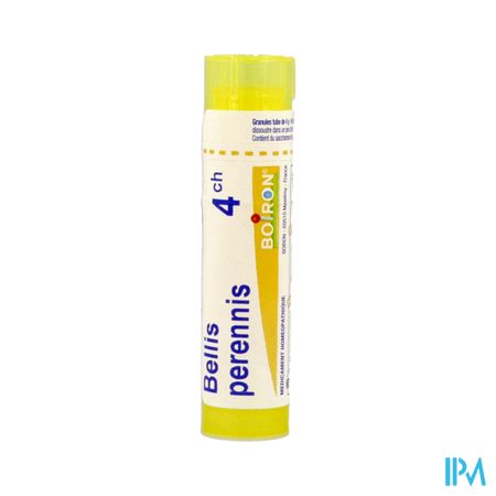 BELLIS PERENNIS 4CH TG B
