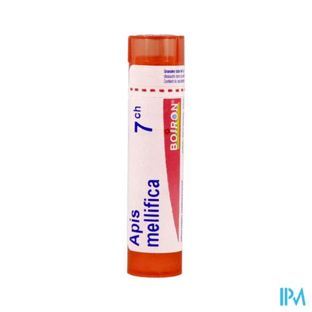 APIS MELLIFICA 7CH TG B